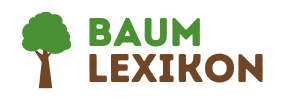 Baumlexikon